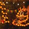 10 Ft 20 LED Marigold Garland with 30 Artificial Marigold Flowers and 12 Butterflies